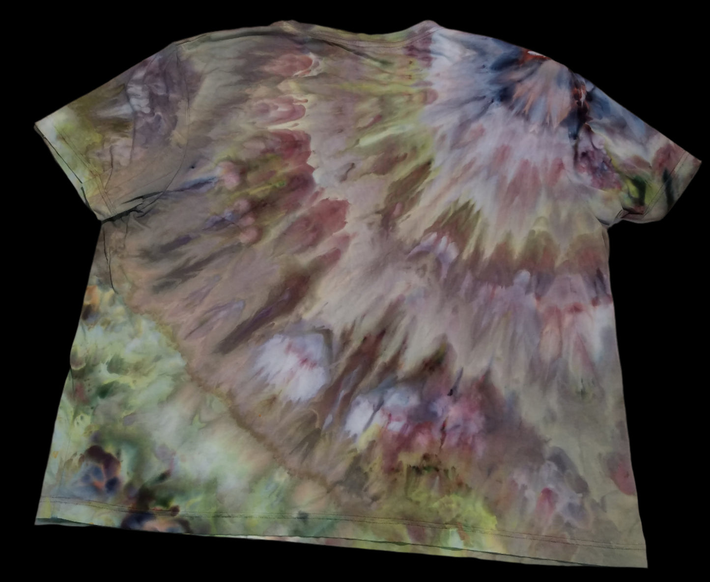 3X Organic Cotton T-Shirt - Black Actias